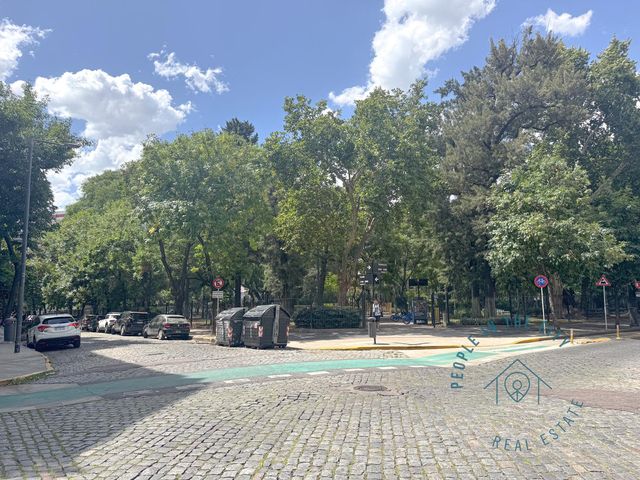 place photo 35