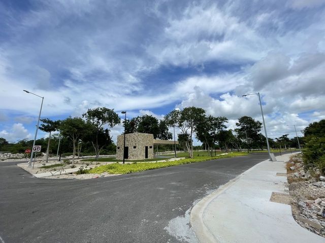 place photo 20
