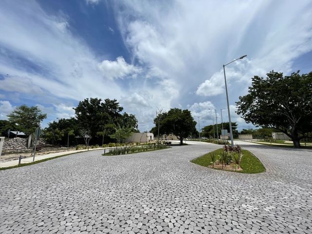 place photo 19