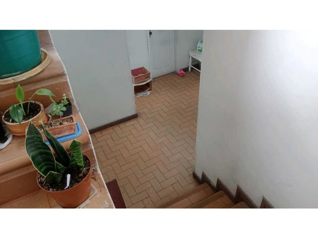 place photo 82