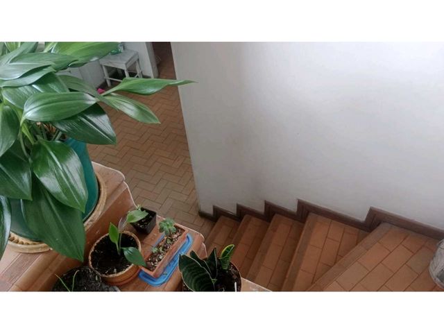 place photo 81