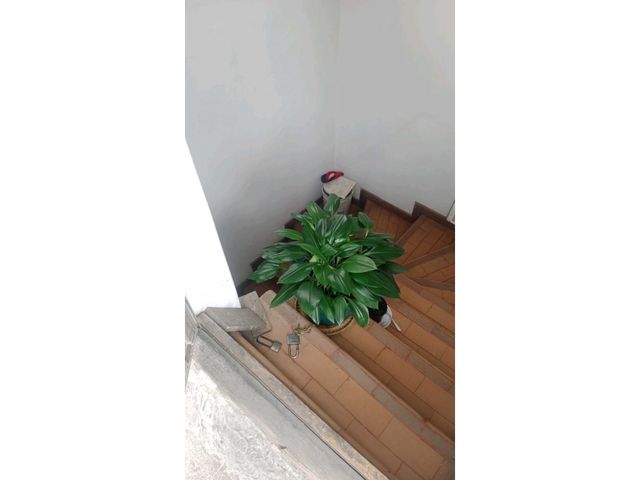 place photo 83