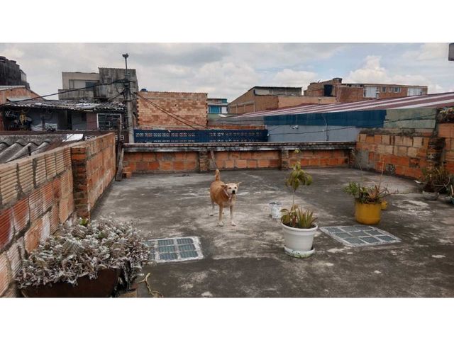 place photo 86