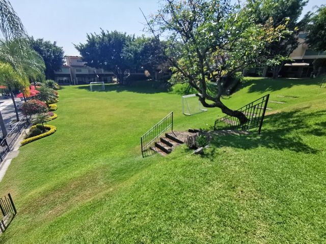 place photo 41
