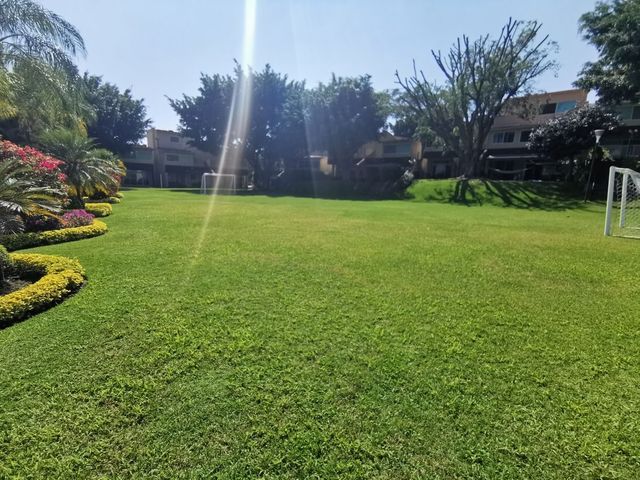 place photo 43