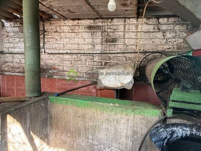 place photo 27