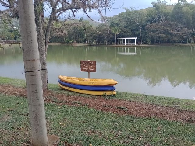 place photo 30