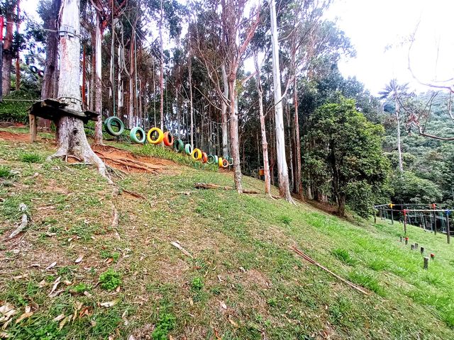 place photo 29
