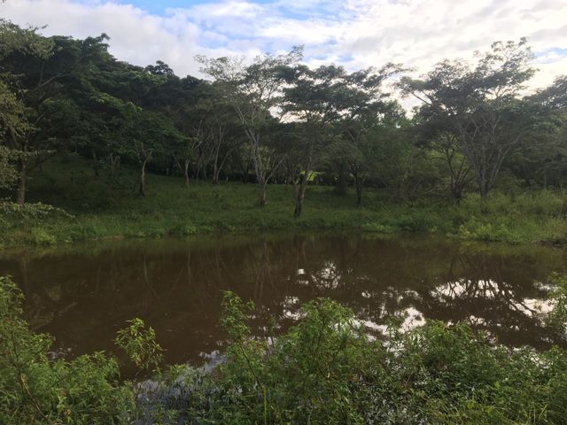 place photo 21