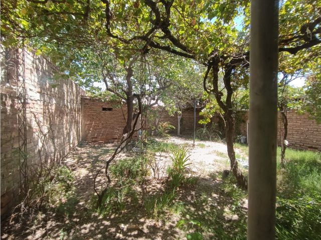 place photo 23