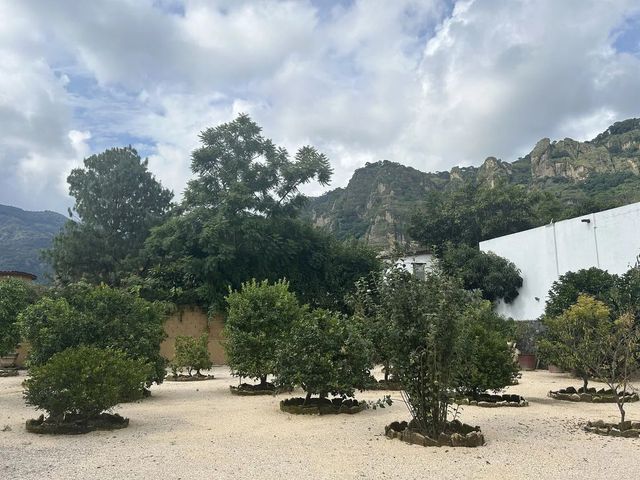 place photo 28