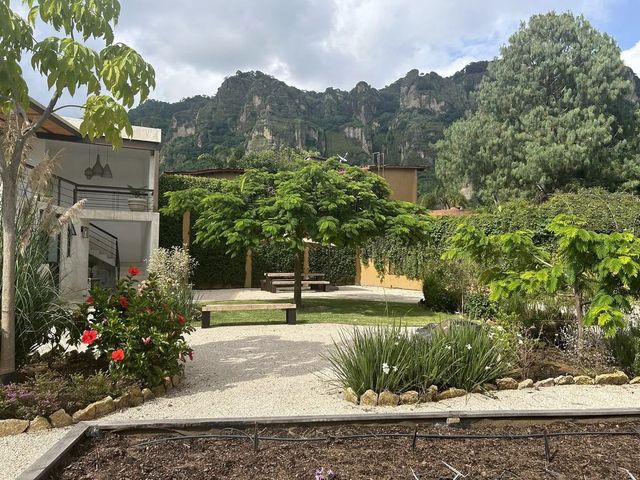 place photo 36