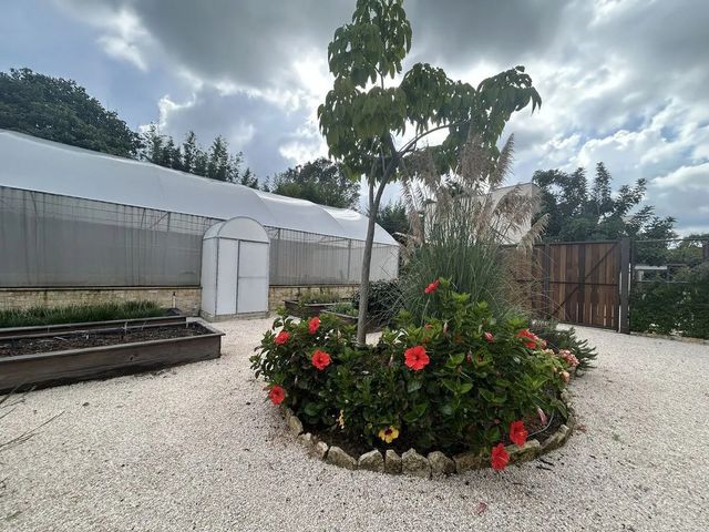 place photo 34