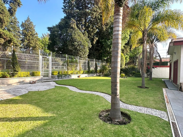 place photo 43