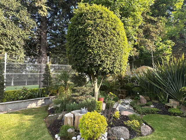place photo 44