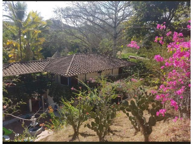 place photo 16