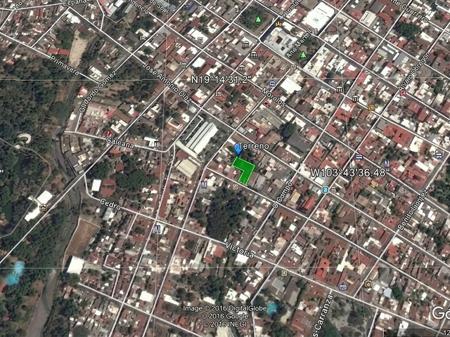 place photo 7