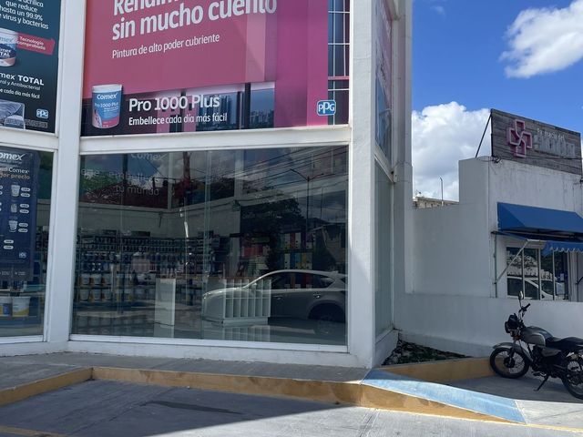 place photo 6