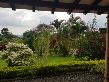 place photo 24