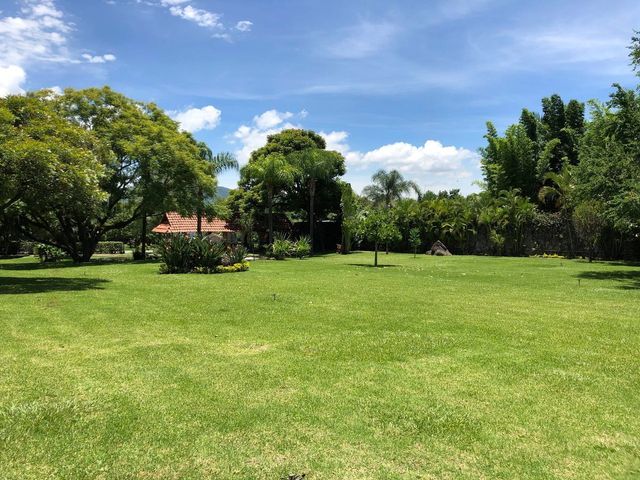 place photo 45