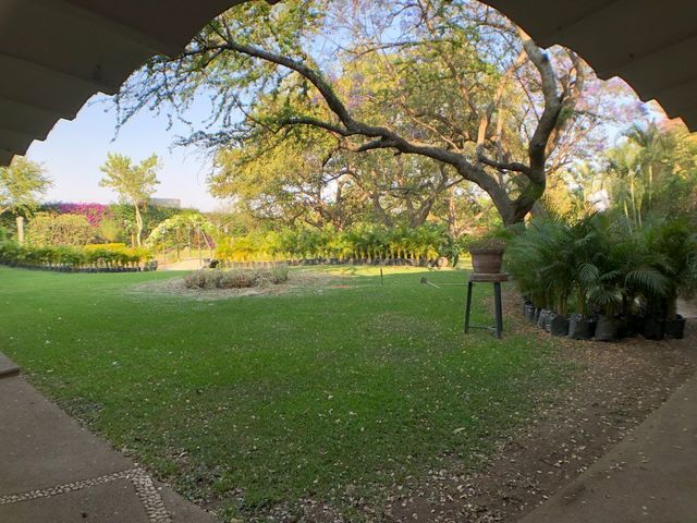 place photo 33