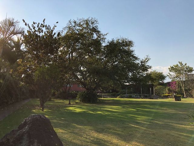 place photo 35