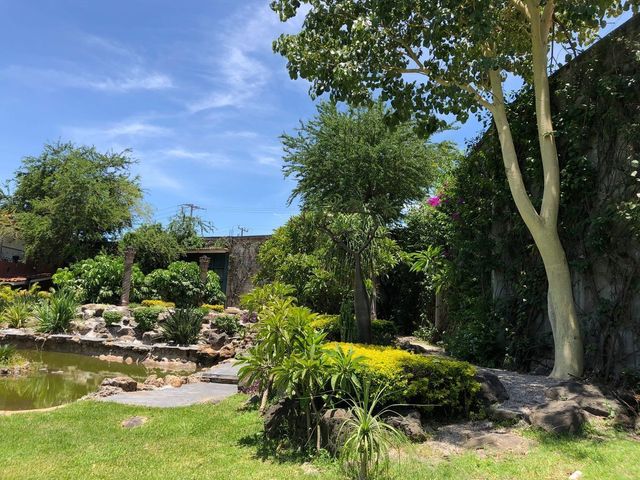 place photo 42