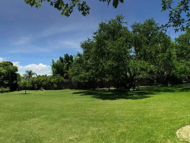 place photo 47