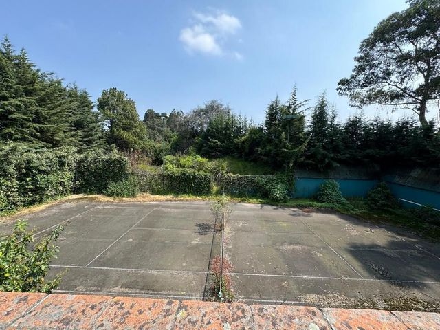 place photo 22