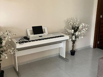 place photo 13