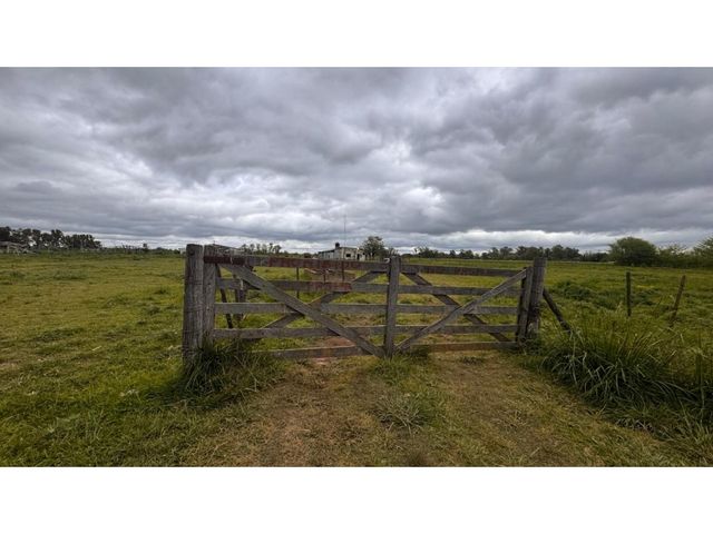 place photo 25