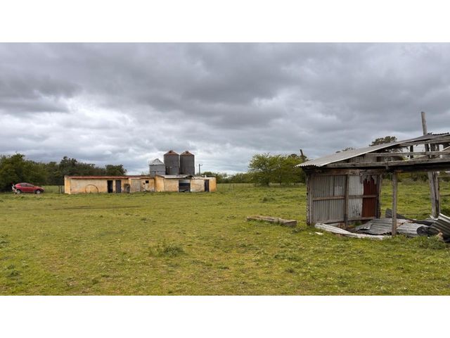 place photo 14