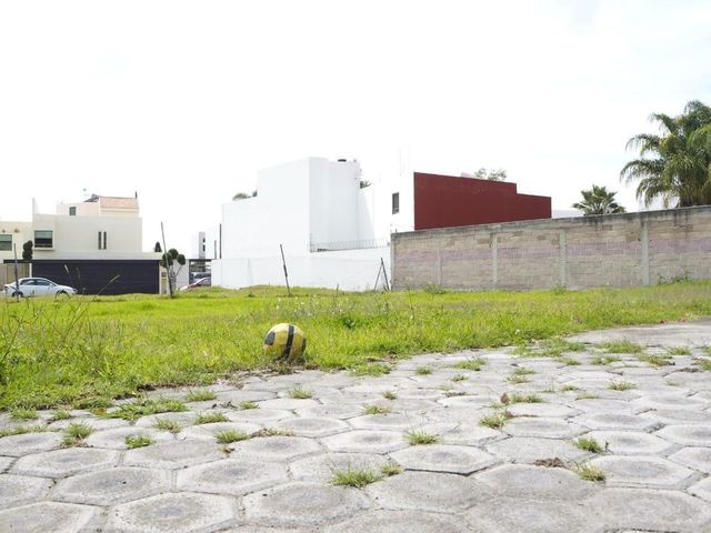 place photo 4