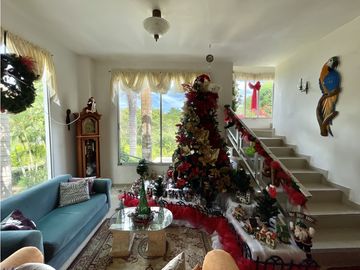 place photo 48