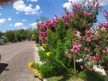 place photo 25