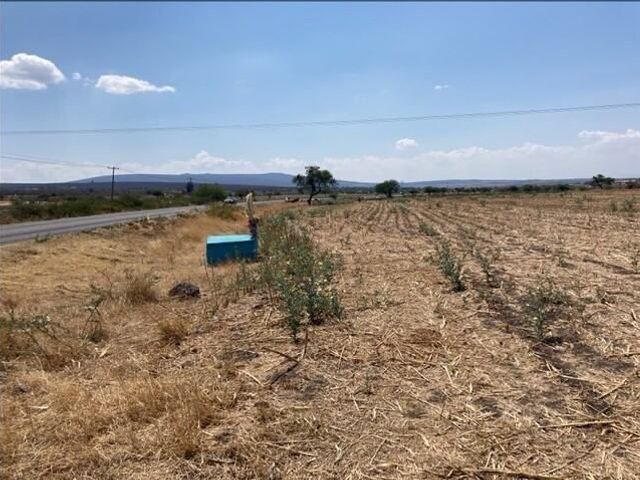 Terreno rustico agricola. Fraccion Segunda, Tacubaya, Penjamo,