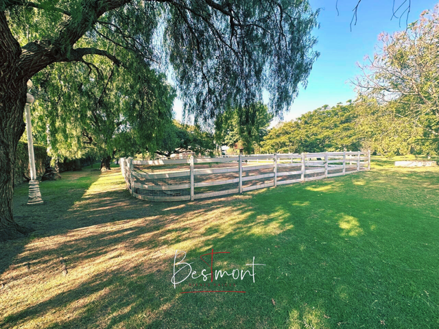 place photo 38