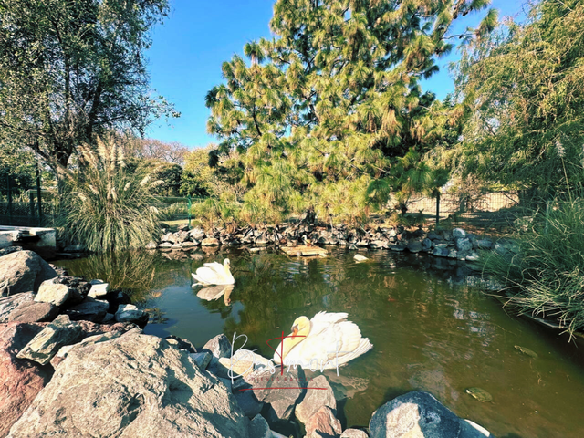 place photo 42