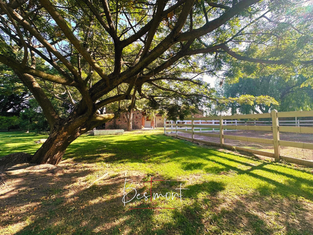 place photo 37