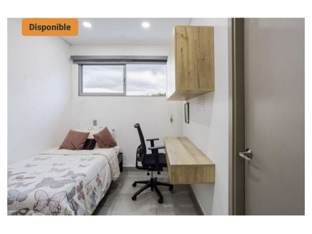 place photo 15