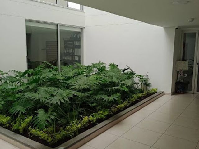 place photo 22