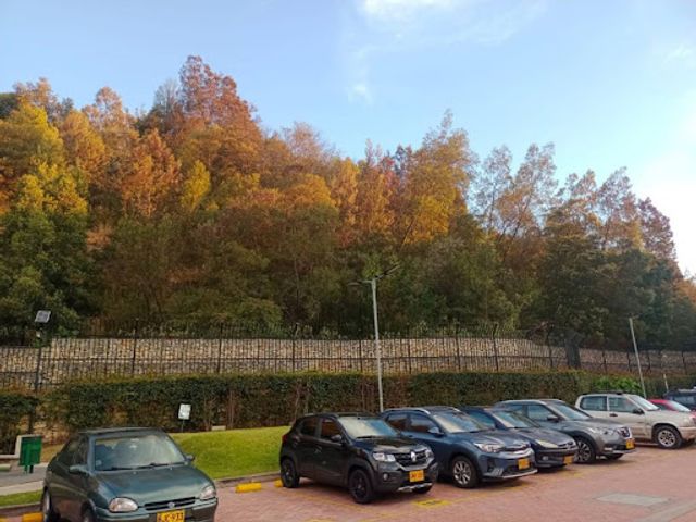 place photo 18