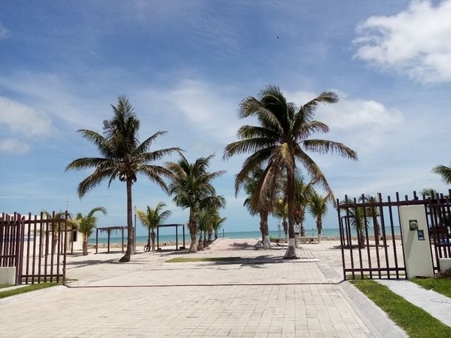 place photo 15
