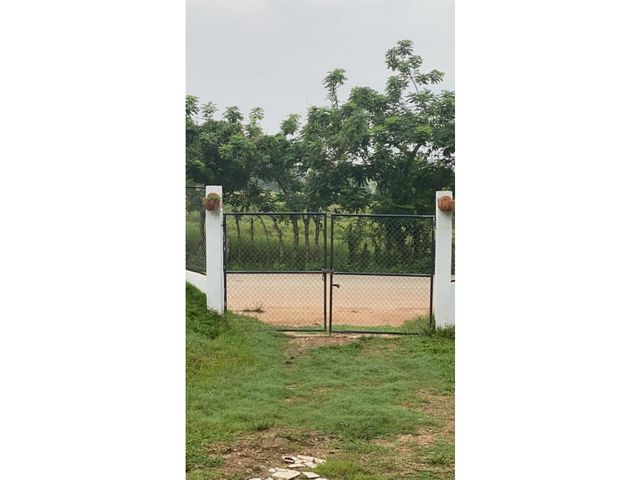 place photo 26