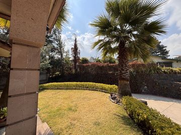 place photo 41