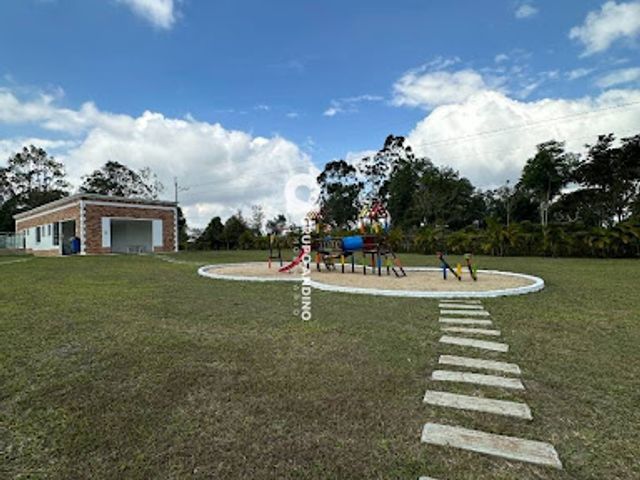 place photo 27