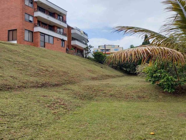 place photo 45