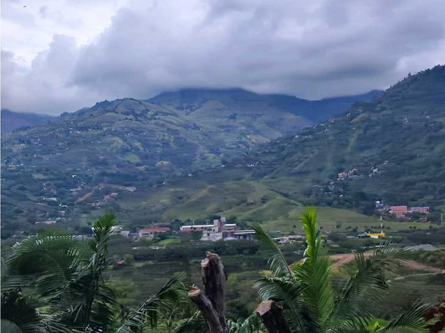 place photo 46