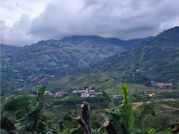 place photo 46