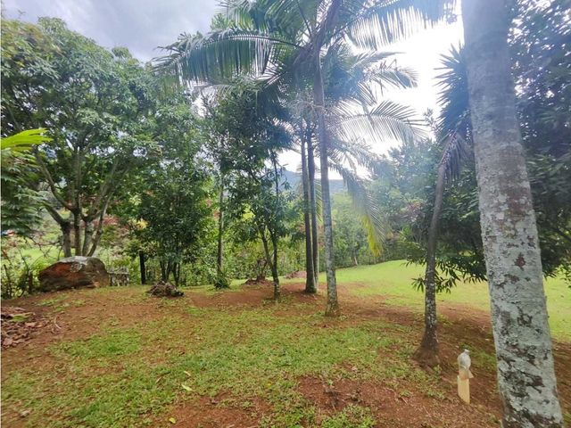 place photo 47